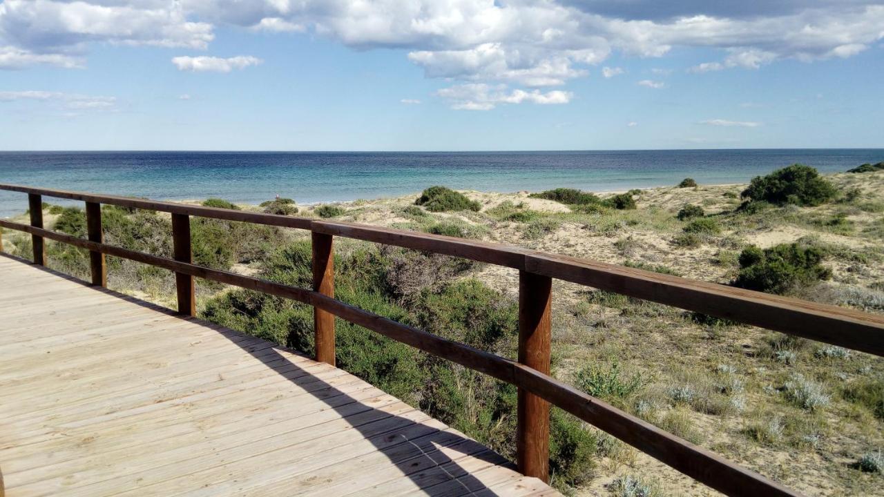 Apartment Duna De Arenales *